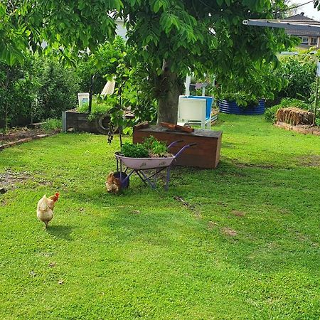Sustainable B&B By The Bay Brisbane Eksteriør billede